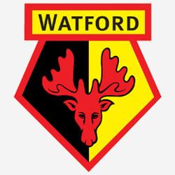 Opposition view: Watford