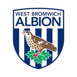 Opposition view: West Bromwich Albion