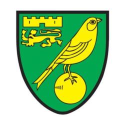 Opposition view: Norwich City