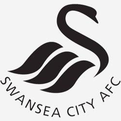 Opposition view: Swansea City